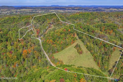 Tiny photo for 858 N Shiloh Rd, Seymour, TN 37865 (MLS # 1319240)