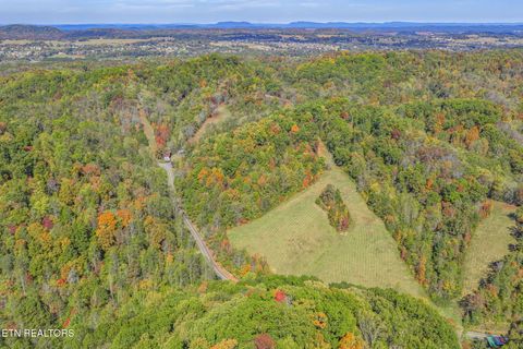 Tiny photo for 858 N Shiloh Rd, Seymour, TN 37865 (MLS # 1319240)