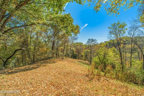 Tiny photo for 858 N Shiloh Rd, Seymour, TN 37865 (MLS # 1319240)