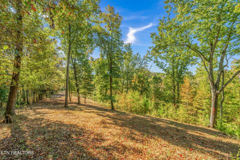 Tiny photo for 858 N Shiloh Rd, Seymour, TN 37865 (MLS # 1319240)