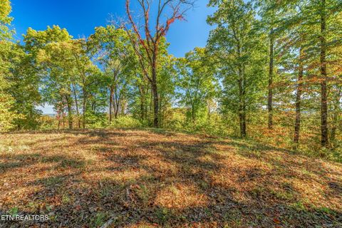 Tiny photo for 858 N Shiloh Rd, Seymour, TN 37865 (MLS # 1319240)