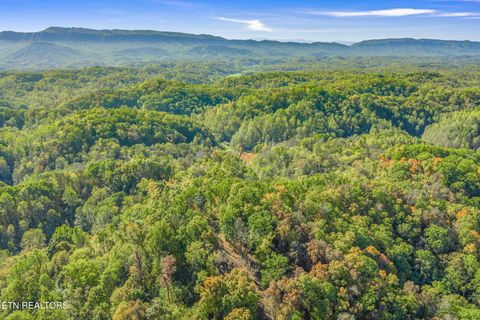 Tiny photo for 858 N Shiloh Rd, Seymour, TN 37865 (MLS # 1319240)