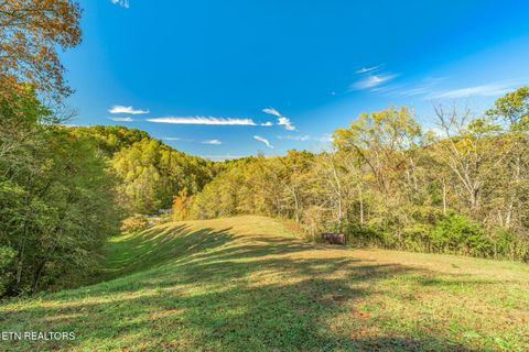 Tiny photo for 858 N Shiloh Rd, Seymour, TN 37865 (MLS # 1319240)