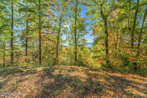 Tiny photo for 858 N Shiloh Rd, Seymour, TN 37865 (MLS # 1319240)