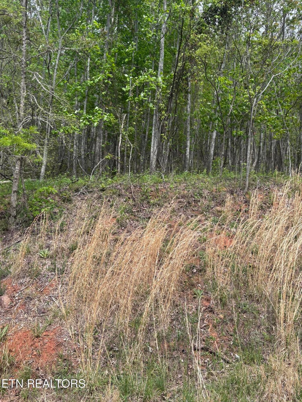 Photo of Chimney Rock Rd, New Tazewell, TN 37825 (MLS # 1337555)
