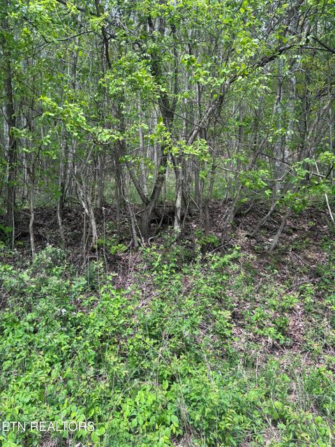 Photo of Chimney Rock Rd, New Tazewell, TN 37825 (MLS # 1337555)