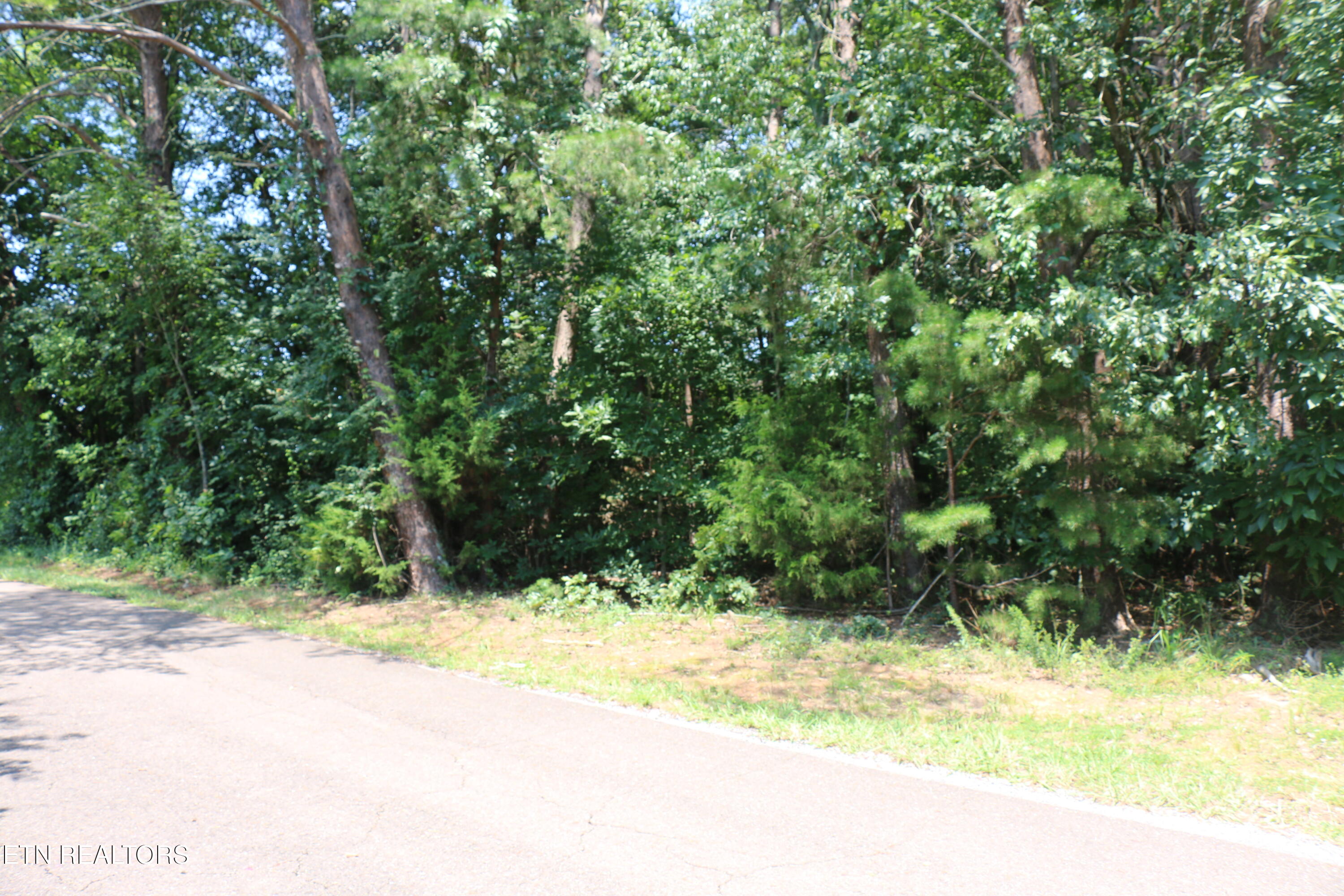 Lot 1 County Road 892