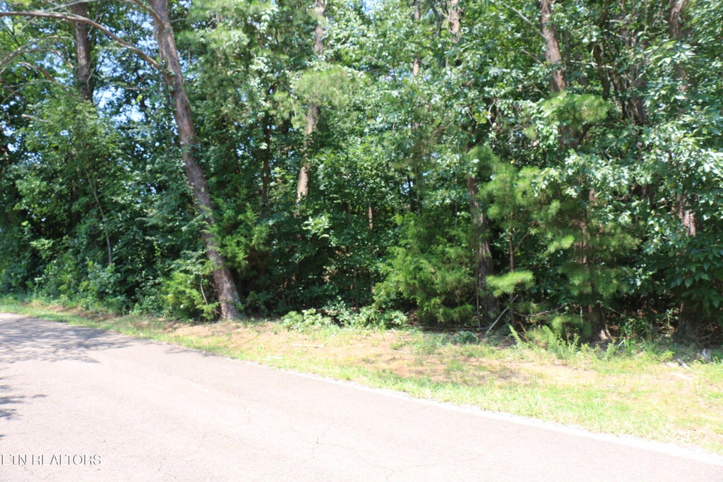 Photo of 1 County Road 892, Etowah, TN 37331 (MLS # 1351441)