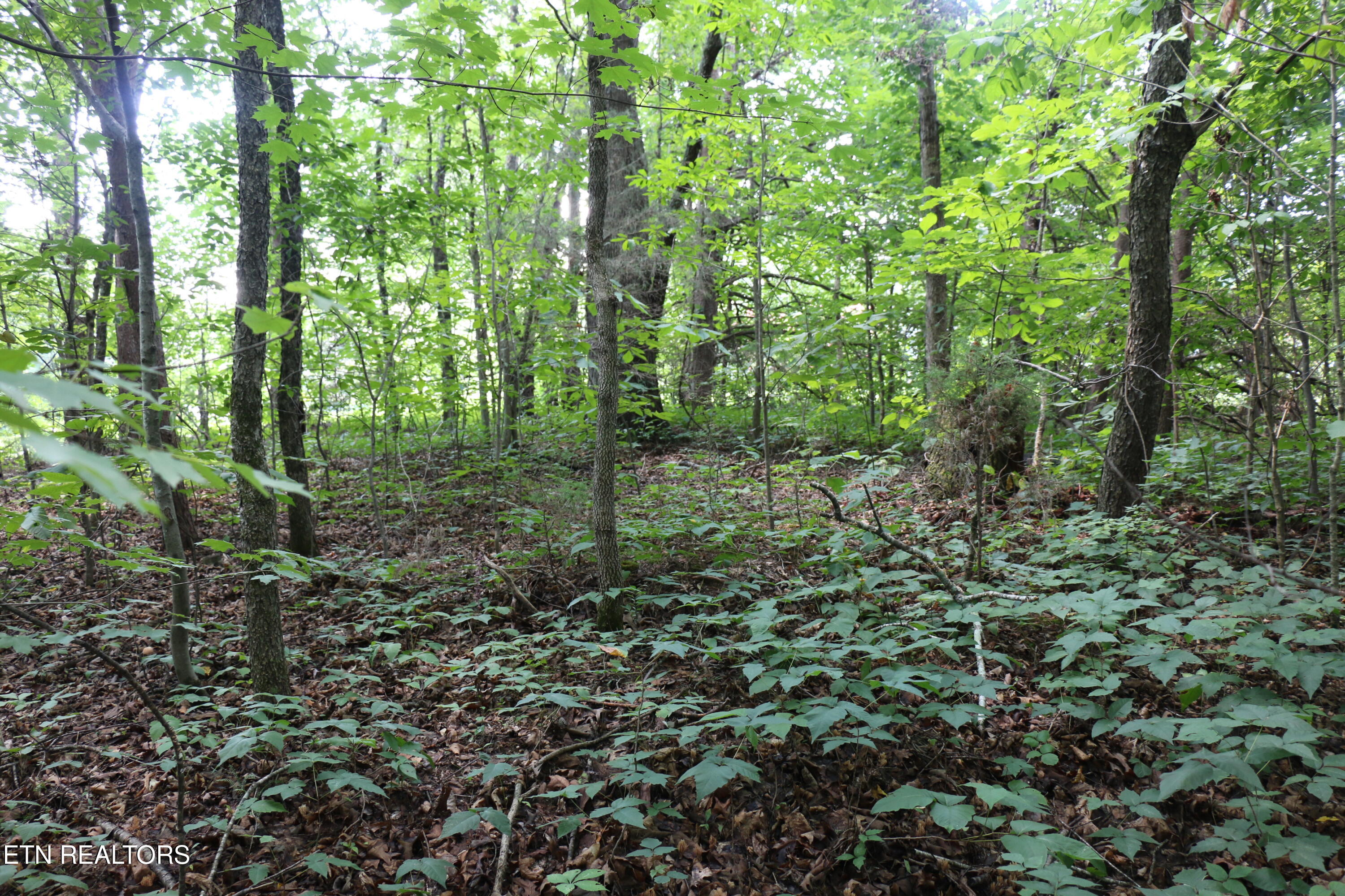 Lot 1 County Road 892