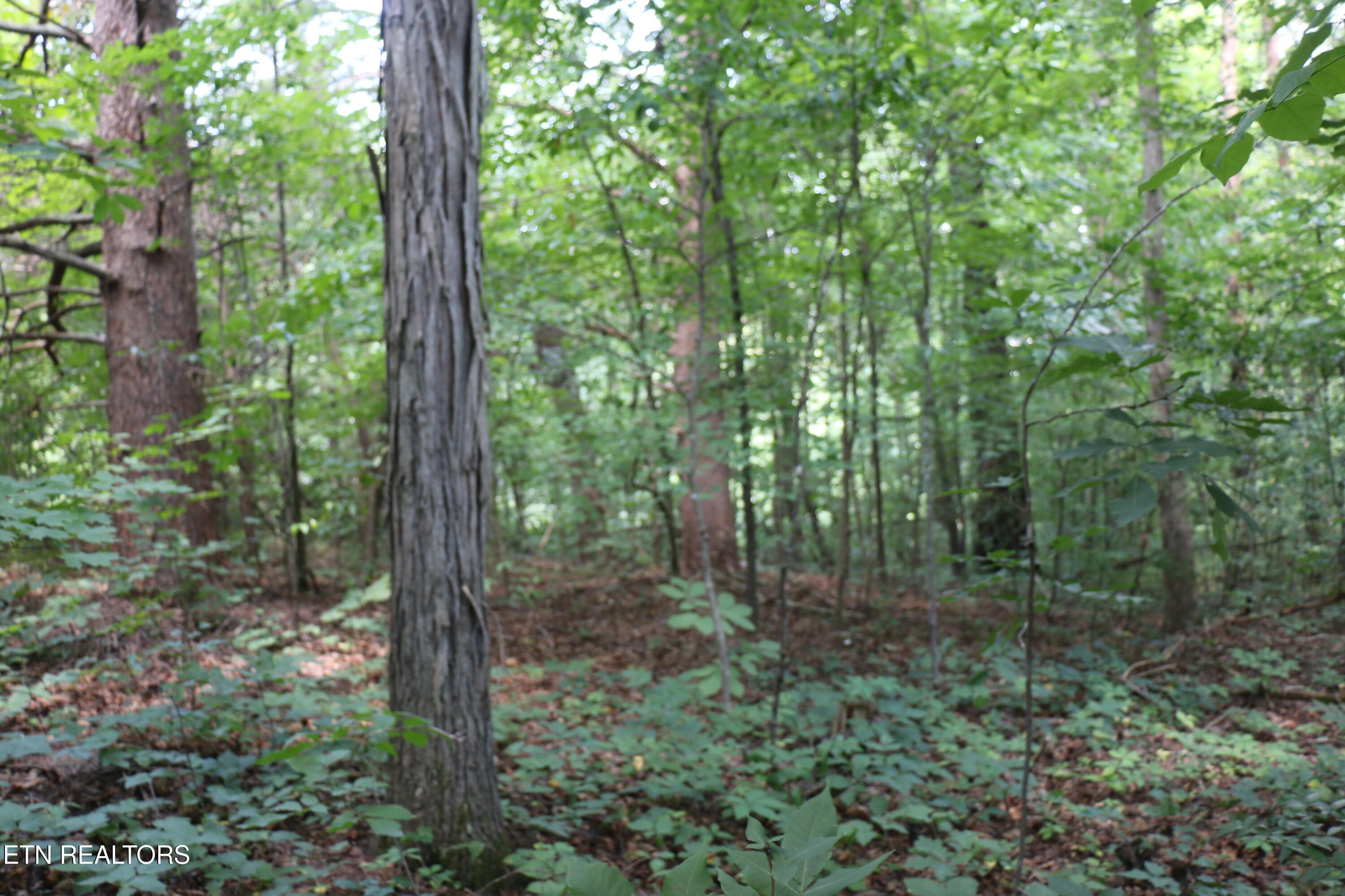Lot 1 County Road 892