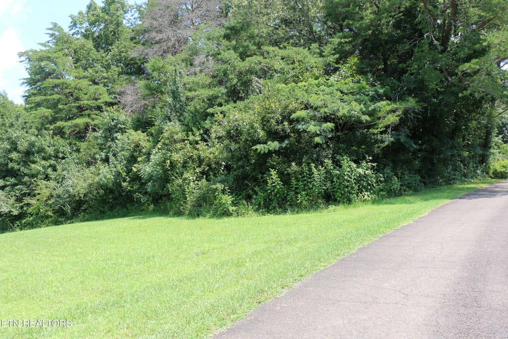 Photo of 1 County Road 892, Etowah, TN 37331 (MLS # 1351441)