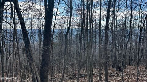 Tiny photo for 616 Chimney Rock Rd, New Tazewell, TN 37825 (MLS # 1329926)