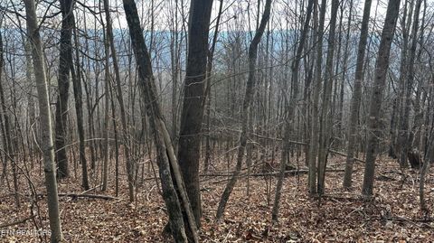 Tiny photo for 616 Chimney Rock Rd, New Tazewell, TN 37825 (MLS # 1329926)