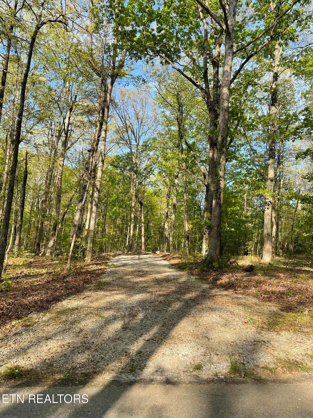 Photo of 160 Badger Rd, Madisonville, TN 37354 (MLS # 1297287)