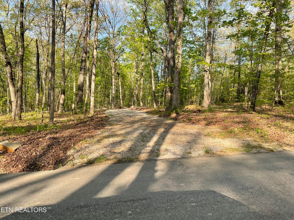 Photo of 160 Badger Rd, Madisonville, TN 37354 (MLS # 1297287)