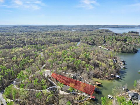 Tiny photo for 115 Cozy Cove Way, Ten Mile, TN 37880 (MLS # 1335445)