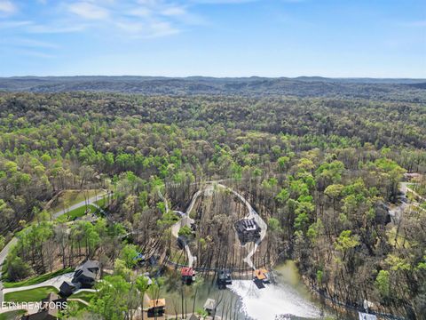 Tiny photo for 115 Cozy Cove Way, Ten Mile, TN 37880 (MLS # 1335445)