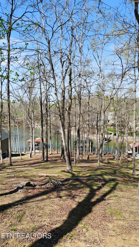 Tiny photo for 115 Cozy Cove Way, Ten Mile, TN 37880 (MLS # 1335445)