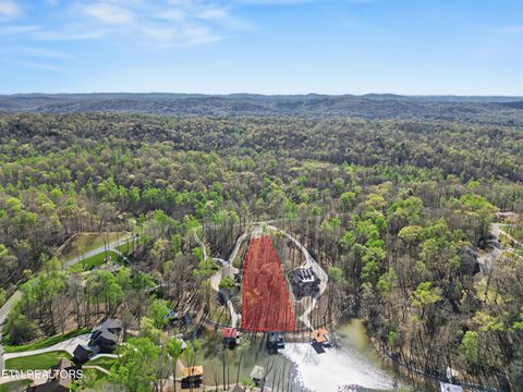 Tiny photo for 115 Cozy Cove Way, Ten Mile, TN 37880 (MLS # 1335445)