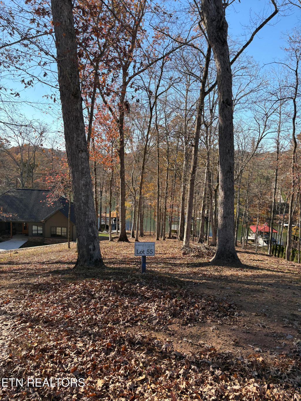 Photo of 115 Cozy Cove Way, Ten Mile, TN 37880 (MLS # 1335445)