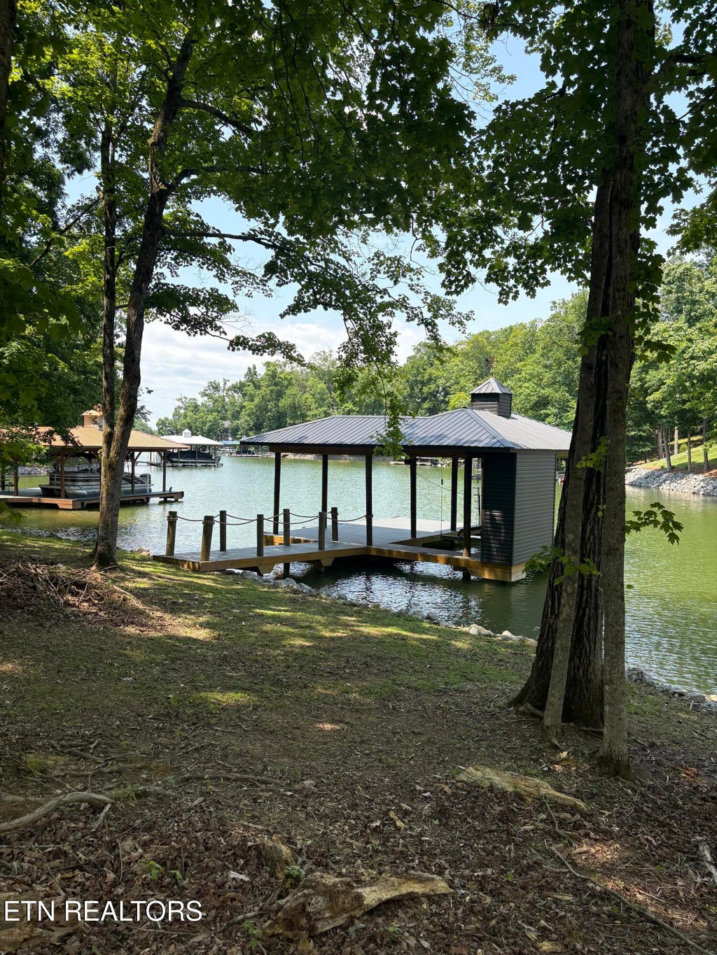 Photo of 115 Cozy Cove Way, Ten Mile, TN 37880 (MLS # 1335445)