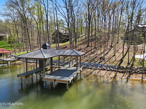 Photo of 115 Cozy Cove Way, Ten Mile, TN 37880 (MLS # 1335445)
