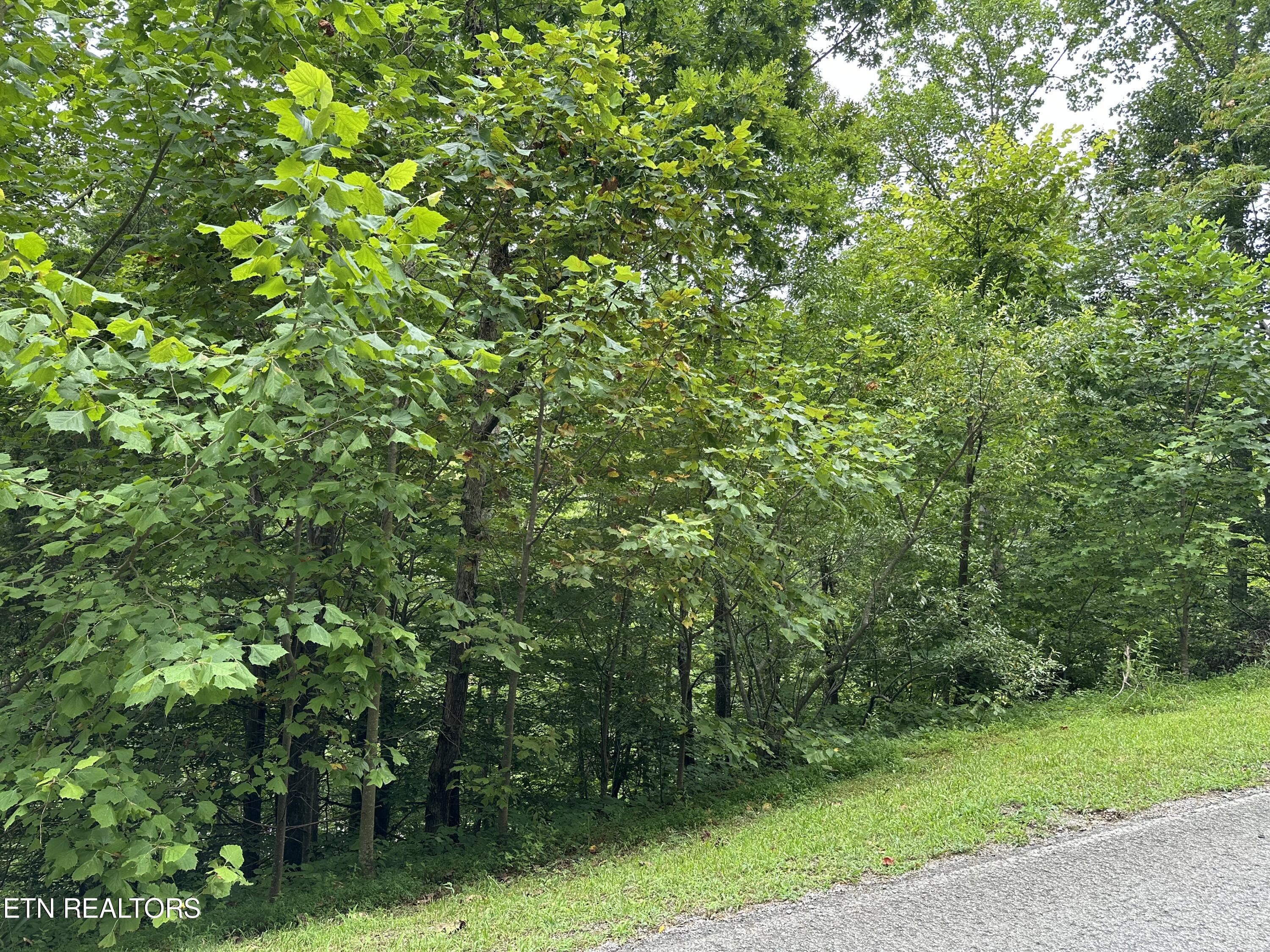 lot 22 Ridge Rd