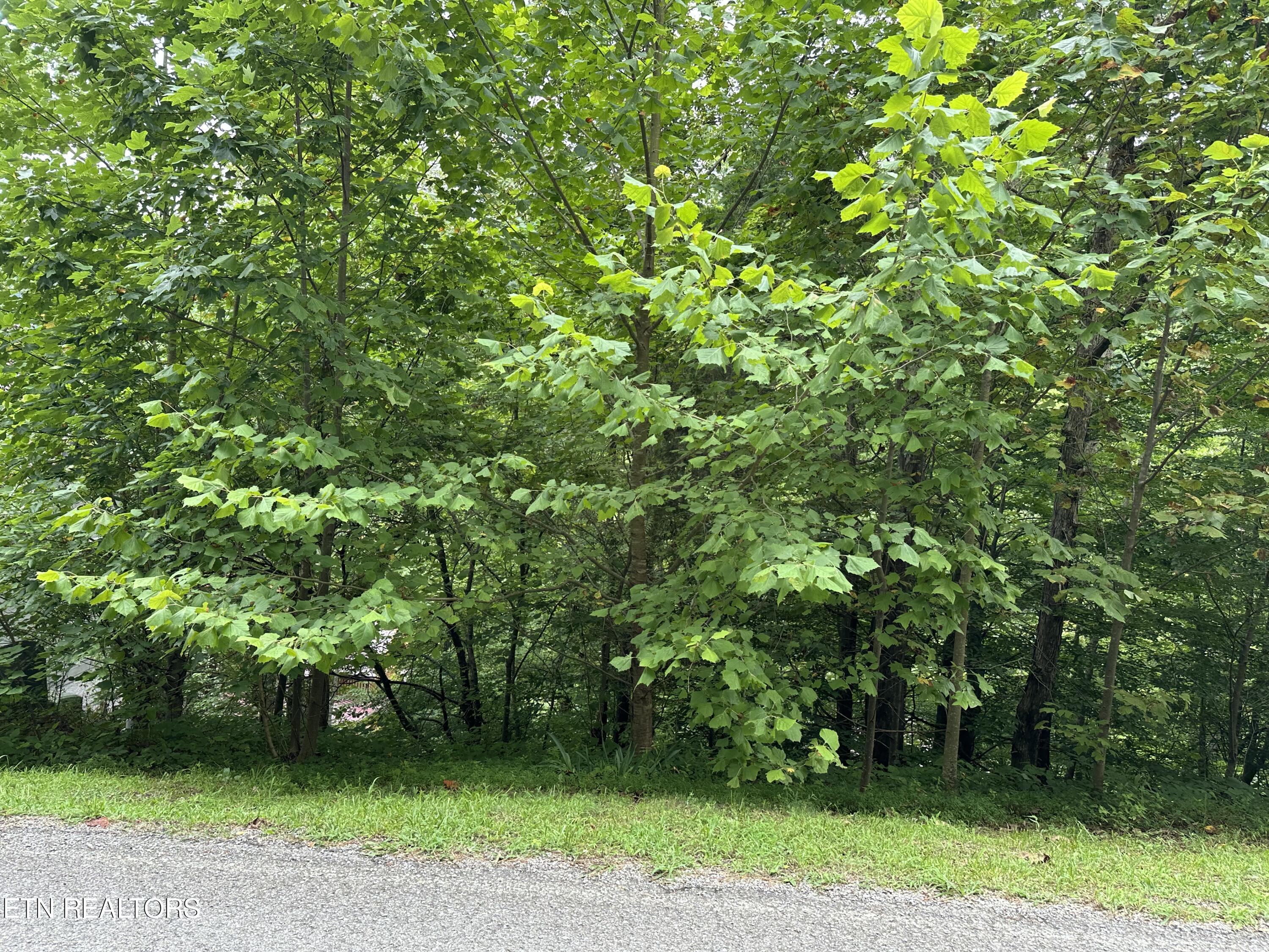 lot 22 Ridge Rd