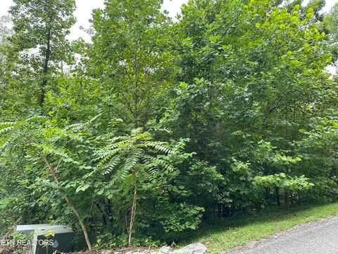 lot 22 Ridge Rd Caryville TN 37714