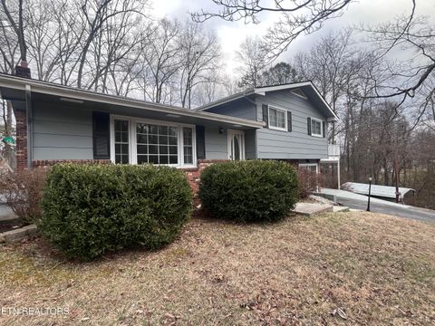 Photo of 216 Mimosa Ave, Rockwood, TN 37854 (MLS # 1330330)