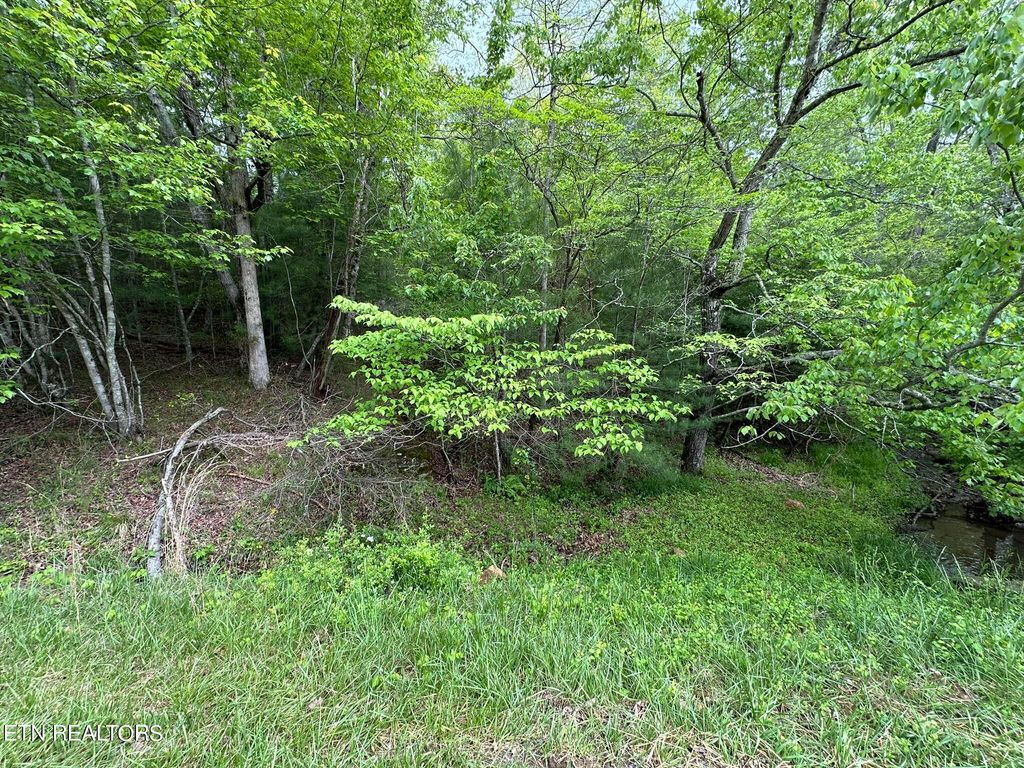 Photo of 110112 Forest Hill Drive, Crossville, TN 38558 (MLS # 1339605)
