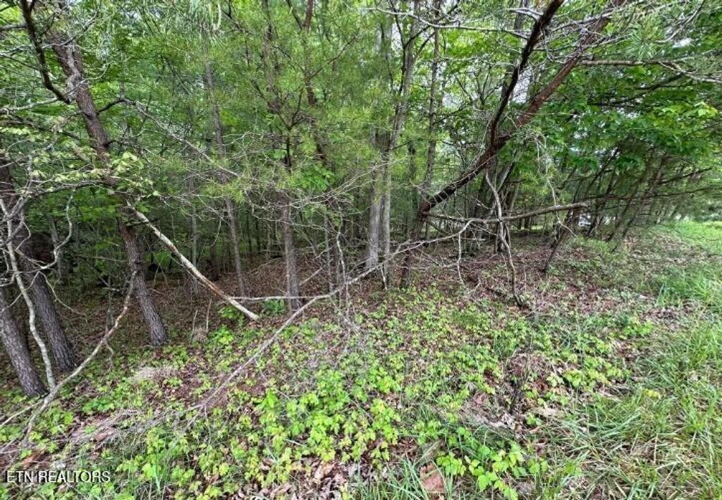 Photo of 110112 Forest Hill Drive, Crossville, TN 38558 (MLS # 1339605)