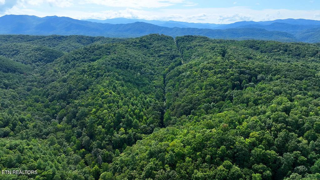 Photo of 250 Seng Garden Rd, Tellico Plains, TN 37385 (MLS # 1313144)