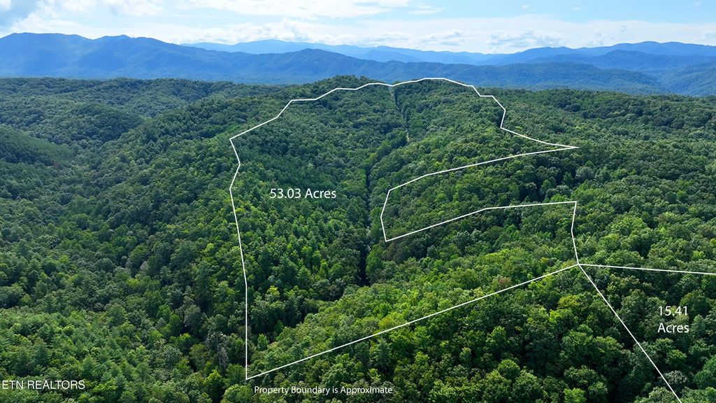 Photo of 250 Seng Garden Rd, Tellico Plains, TN 37385 (MLS # 1313144)