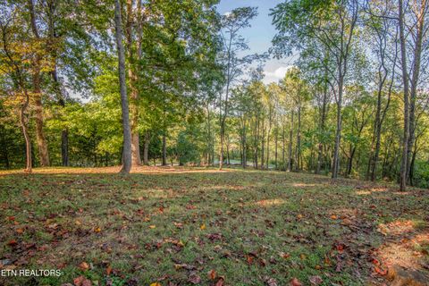 Tiny photo for 135 Eagle Ridge Drive, Philadelphia, TN 37846 (MLS # 1317668)