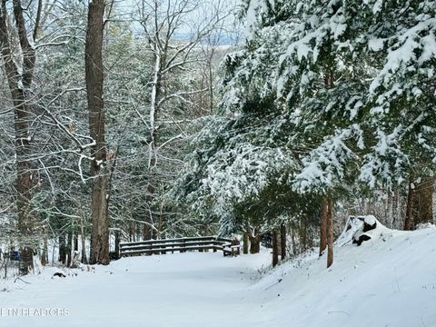 Tiny photo for 135 Eagle Ridge Drive, Philadelphia, TN 37846 (MLS # 1317668)
