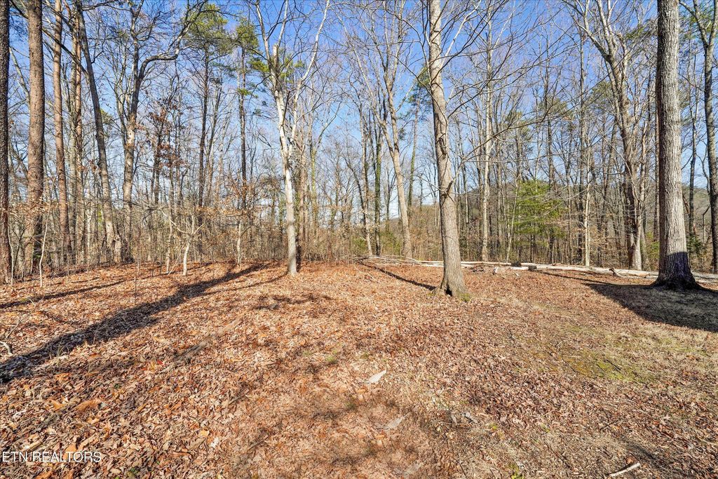 Photo of Charles Young Rd, Walland, TN 37886 (MLS # 1328001)