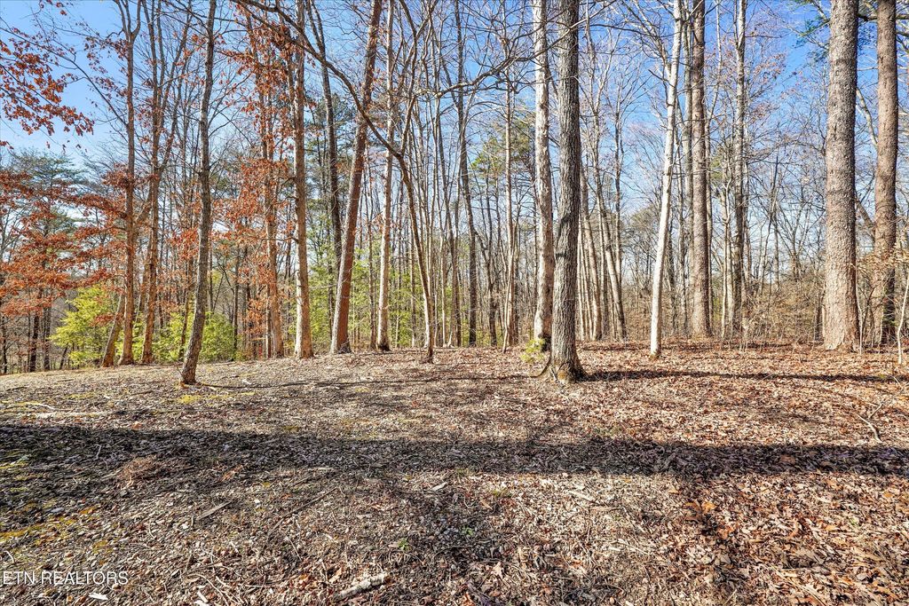 Photo of Charles Young Rd, Walland, TN 37886 (MLS # 1328001)