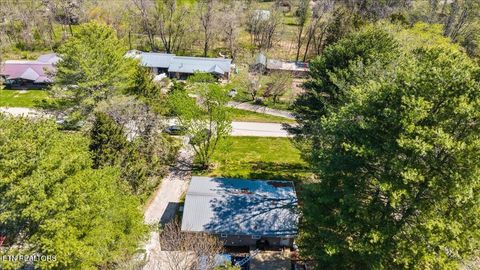 Tiny photo for 257 Gamble Lane, LaFollette, TN 37766 (MLS # 1335423)