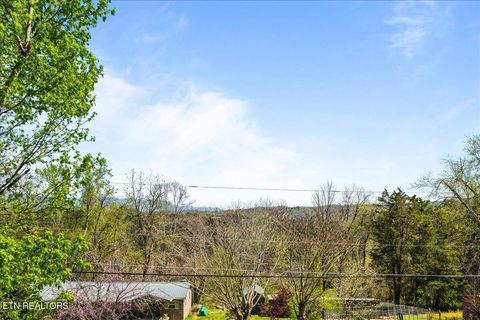 Tiny photo for 257 Gamble Lane, LaFollette, TN 37766 (MLS # 1335423)