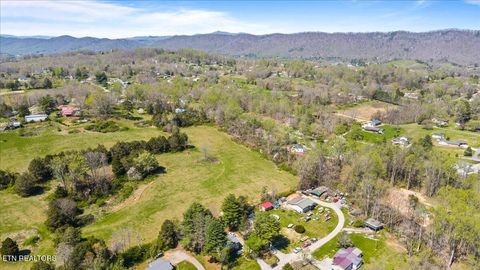 Tiny photo for 257 Gamble Lane, LaFollette, TN 37766 (MLS # 1335423)