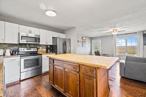 Tiny photo for 257 Gamble Lane, LaFollette, TN 37766 (MLS # 1335423)