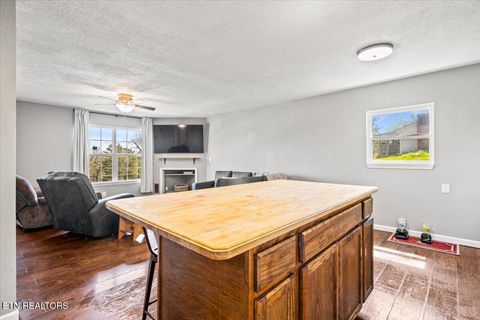 Tiny photo for 257 Gamble Lane, LaFollette, TN 37766 (MLS # 1335423)