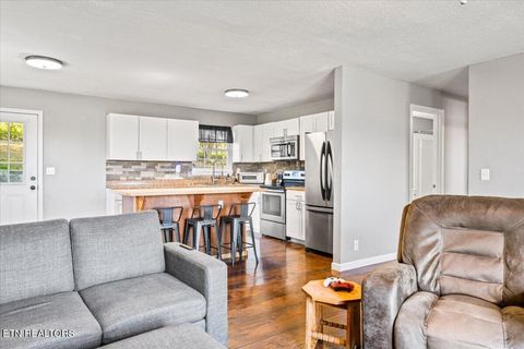 Tiny photo for 257 Gamble Lane, LaFollette, TN 37766 (MLS # 1335423)