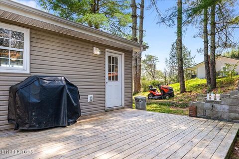 Tiny photo for 257 Gamble Lane, LaFollette, TN 37766 (MLS # 1335423)