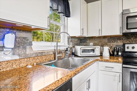 Tiny photo for 257 Gamble Lane, LaFollette, TN 37766 (MLS # 1335423)