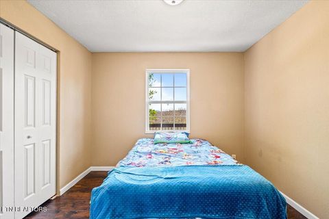 Tiny photo for 257 Gamble Lane, LaFollette, TN 37766 (MLS # 1335423)