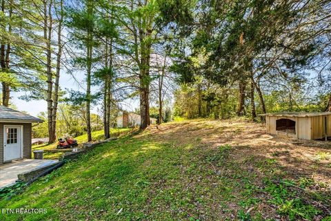 Tiny photo for 257 Gamble Lane, LaFollette, TN 37766 (MLS # 1335423)