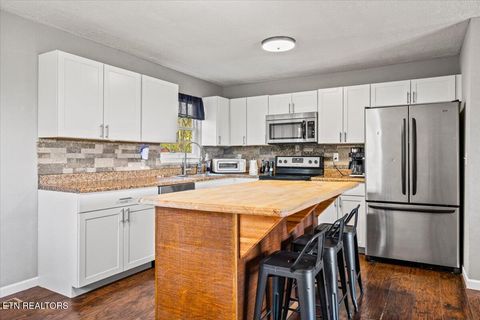 Tiny photo for 257 Gamble Lane, LaFollette, TN 37766 (MLS # 1335423)