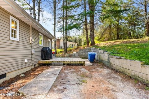 Tiny photo for 257 Gamble Lane, LaFollette, TN 37766 (MLS # 1335423)